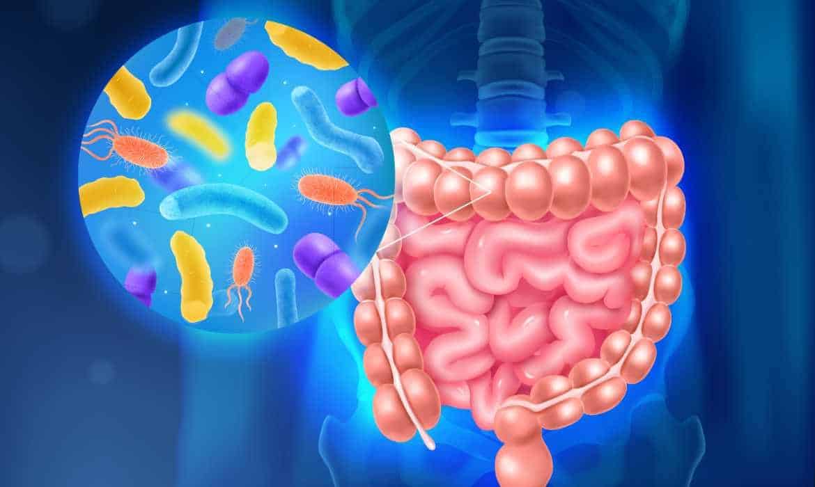 Microbiota intestinal y el cerebro: ¿cuál es la conexión y por qué es tan importante? 1 Microbiota intestinal qué es