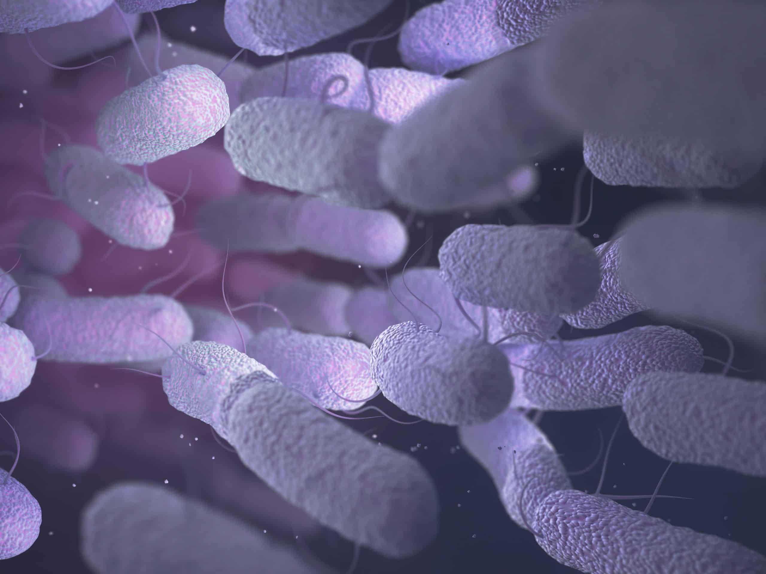 Disbiosis Intestinal. Síntomas, causas y tratamientos para restaurar el equilibrio de tu microbiota 1 bacteria en microbiota disbiosis intestinal