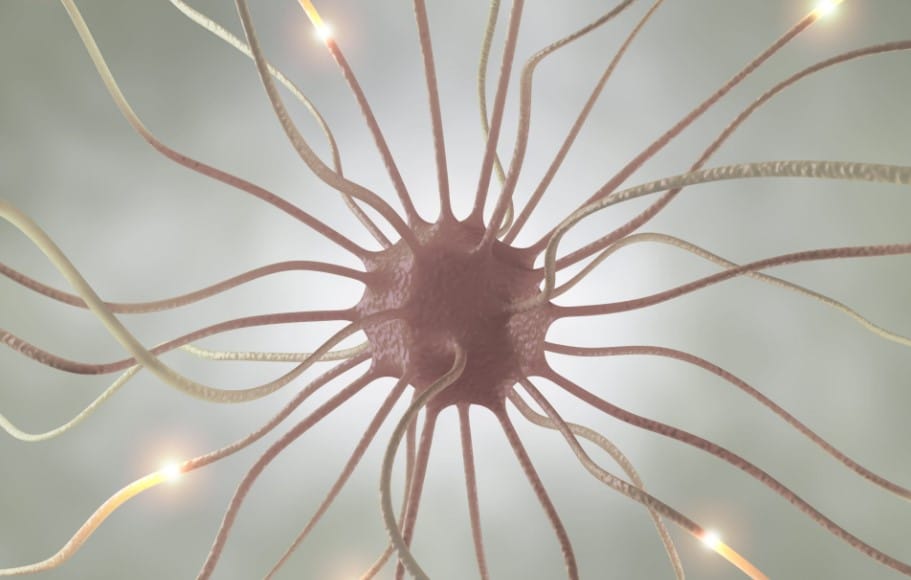Estrés Oxidativo, qué es, causas y cómo afecta tu salud 3 estres