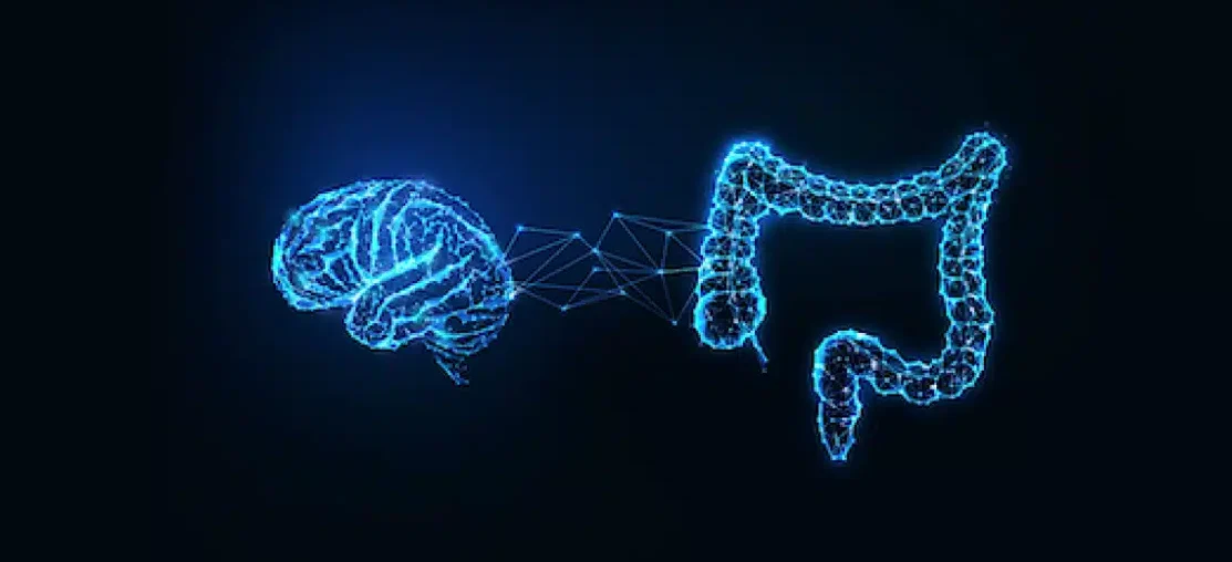 Microbiota intestinal y el cerebro: ¿cuál es la conexión y por qué es tan importante? 2 Microbiota intestinal y el cerebro
